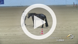 Play video